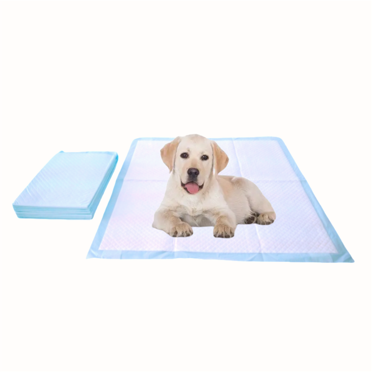 Engångsattraktant valpträningsplatta