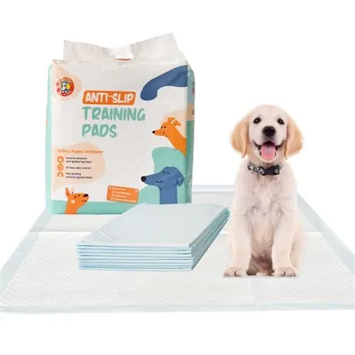 HUSHPET 600*600MM Disposable Super Absorption Dog Toalett Pad