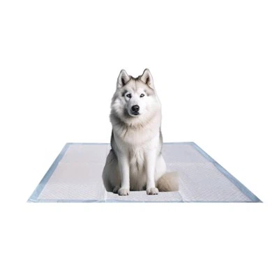 HUSHPET Cherry Absorptionsdyna för engångsbruk för hundar